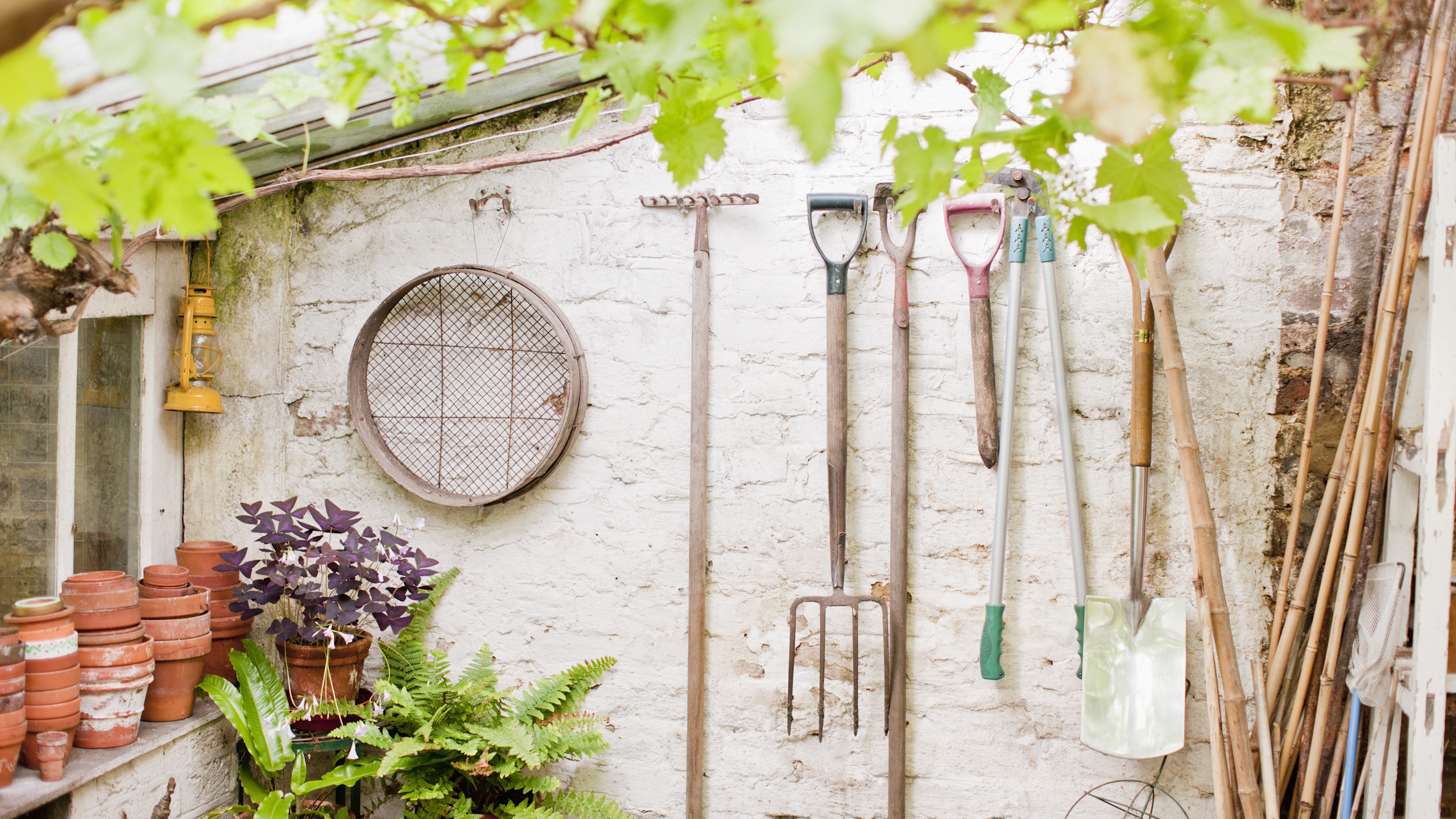 Gardening tools in a greenhouse hanging on the wall