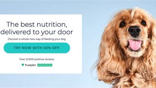 Cyber monday dog food deal