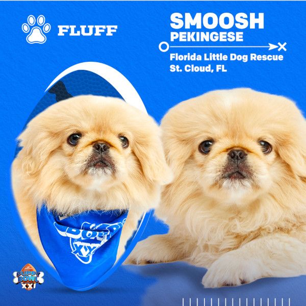 Puppy Bowl 2025 Smoosh