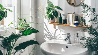 White bathroom with plants