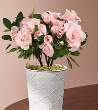 Flowers &amp; Gifts: from $59 @ Flowers Fast