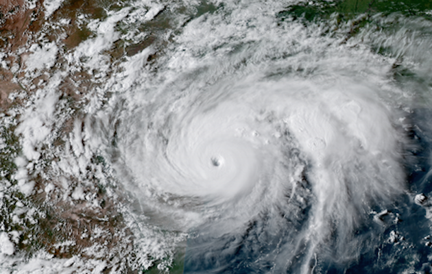 Hurricane Harvey horse rescue