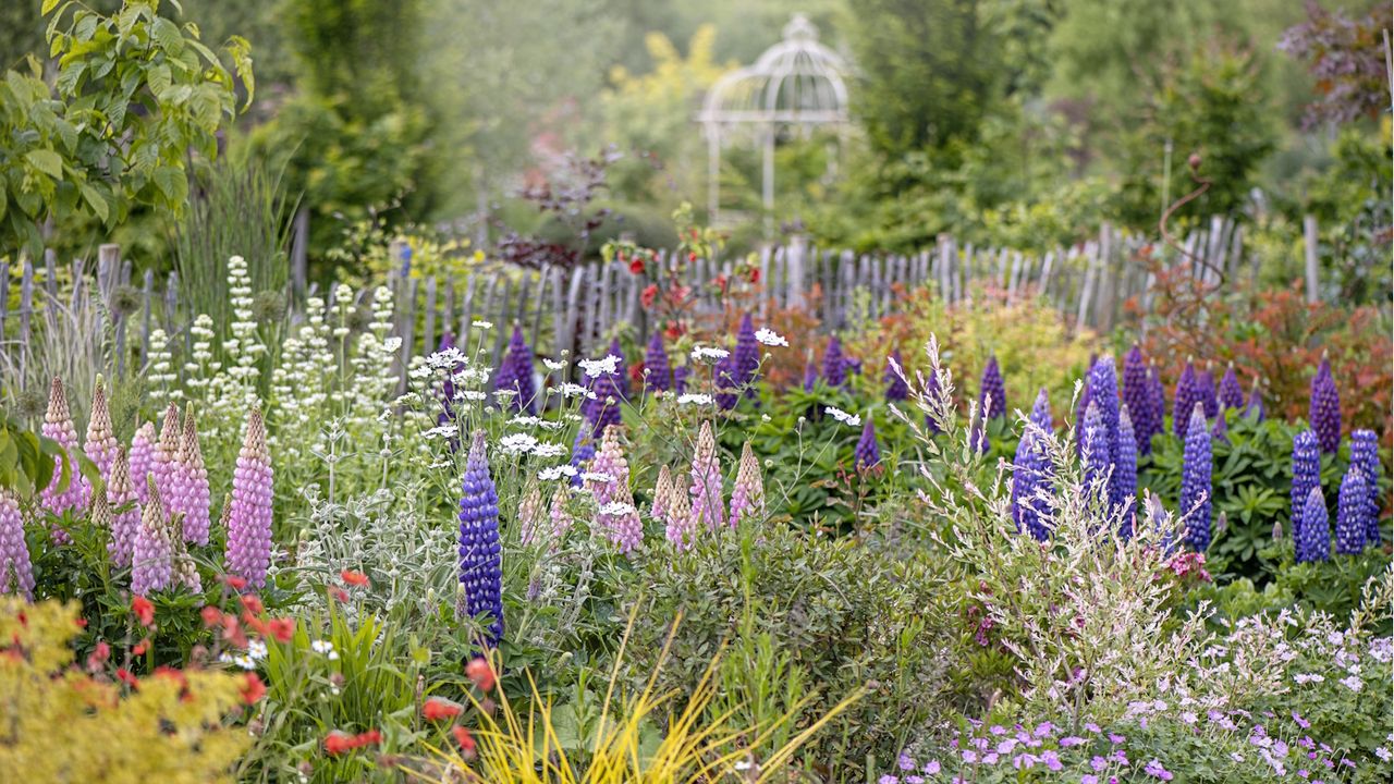 Using fragrance in the yard for wellbeing