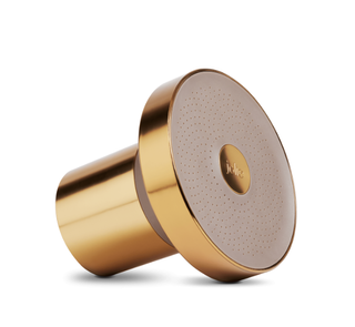 the Jolie filtered showerhead in brushed gold