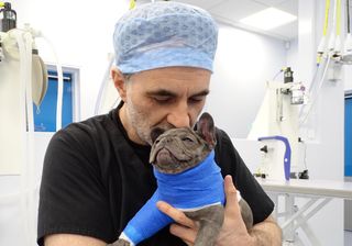 Professor Noel Fitzpatrick with Lexi The Supervet at Christmas