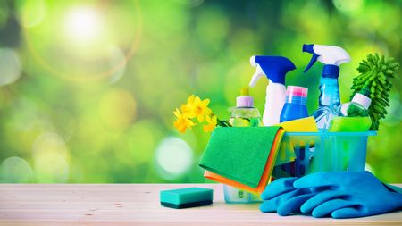 Cleaning concept. Housecleaning, hygiene, spring, chores, cleaning supplies