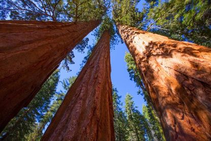 The ultimate USA road trip: 11 things you must do in California | Woman ...