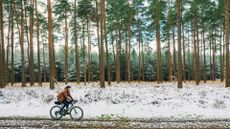 A cyclist riding through the seasons