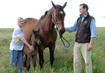 Mare_and_foal_(large).jpg