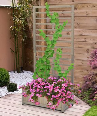 A wood planter with trellis on deck