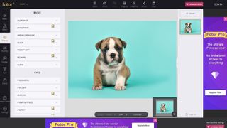 Editing an image of a dog in Fotor