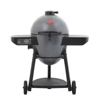 Char-Griller Akorn Auto-Kamado Wi-Fi Charcoal Grill | was $399, now $329 at Home Depot&nbsp;