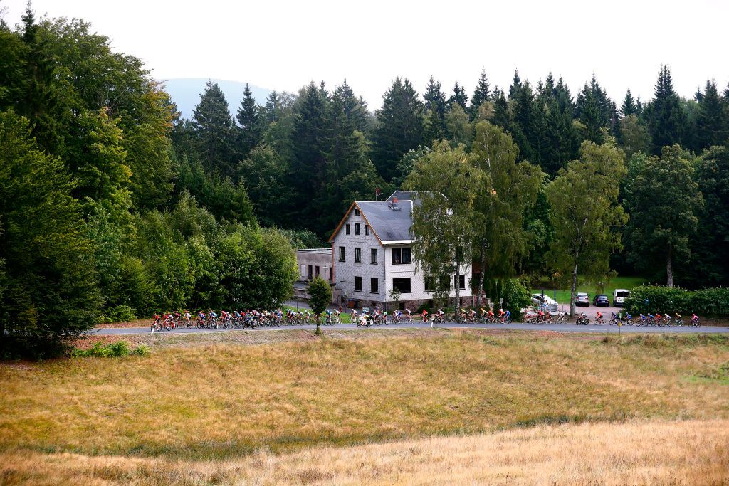 The peloton on stage 4