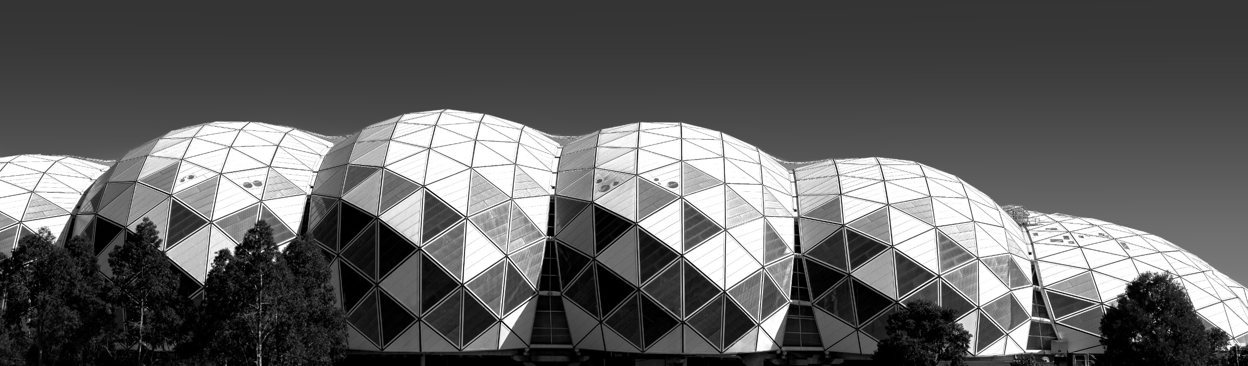 Winning image from Camera House Photographer of the Year 2026