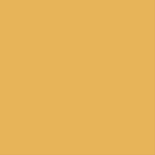 Farrow & Ball, Dutch Orange No. W76