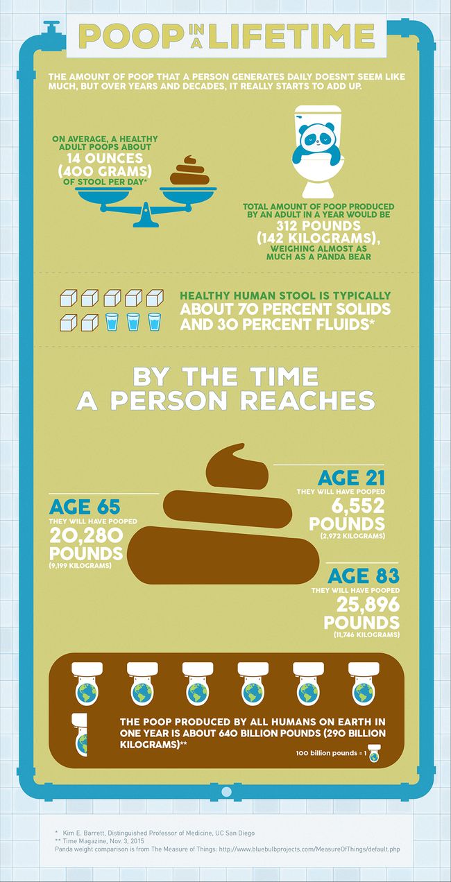 How Much Do You Poop In Your Lifetime Live Science