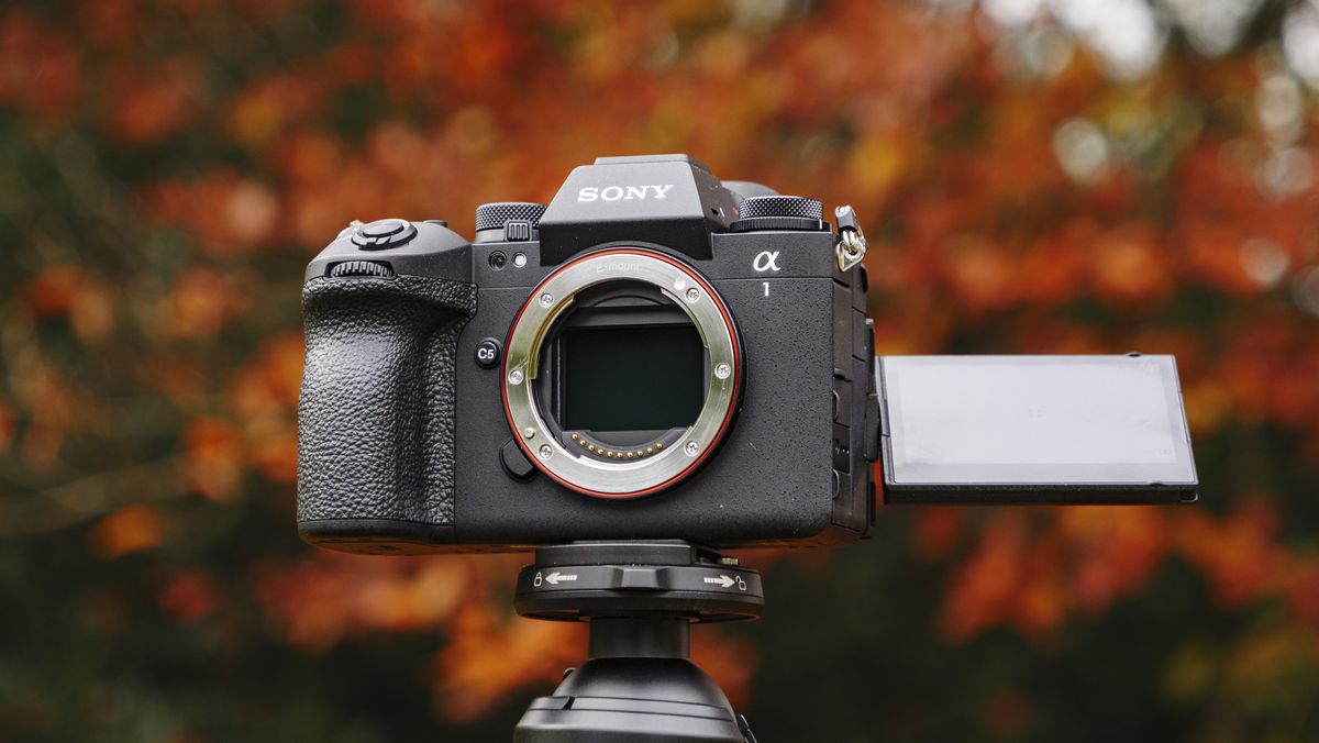 Hands on: Sony A1 II review – a refined flagship