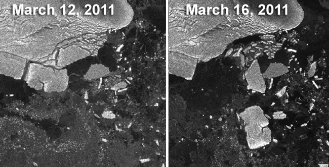 iceberg calved by japan tsunami