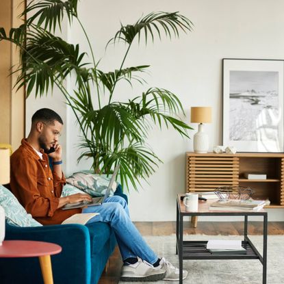Tall houseplant in living room