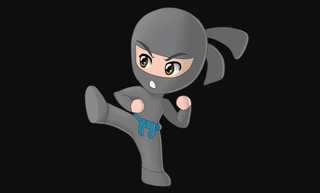 Ninja avatar