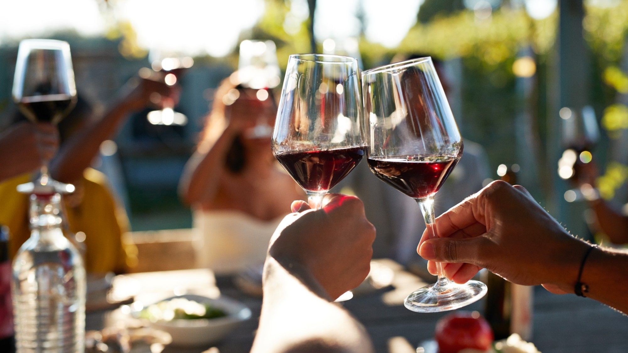 Boxed Wines Gain Popularity as Sustainable, Affordable Choice