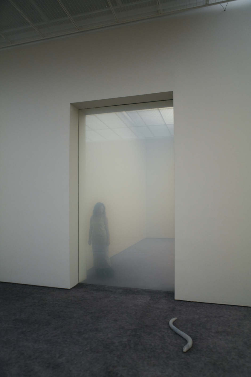 installation view of Pierre Huyghe at Fondation Beyeler