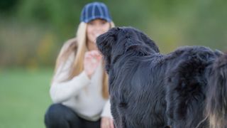 Dog being handed a treat by human