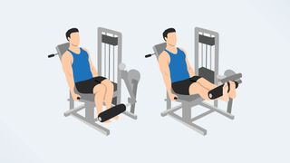 an illo of a man using the leg extension machine