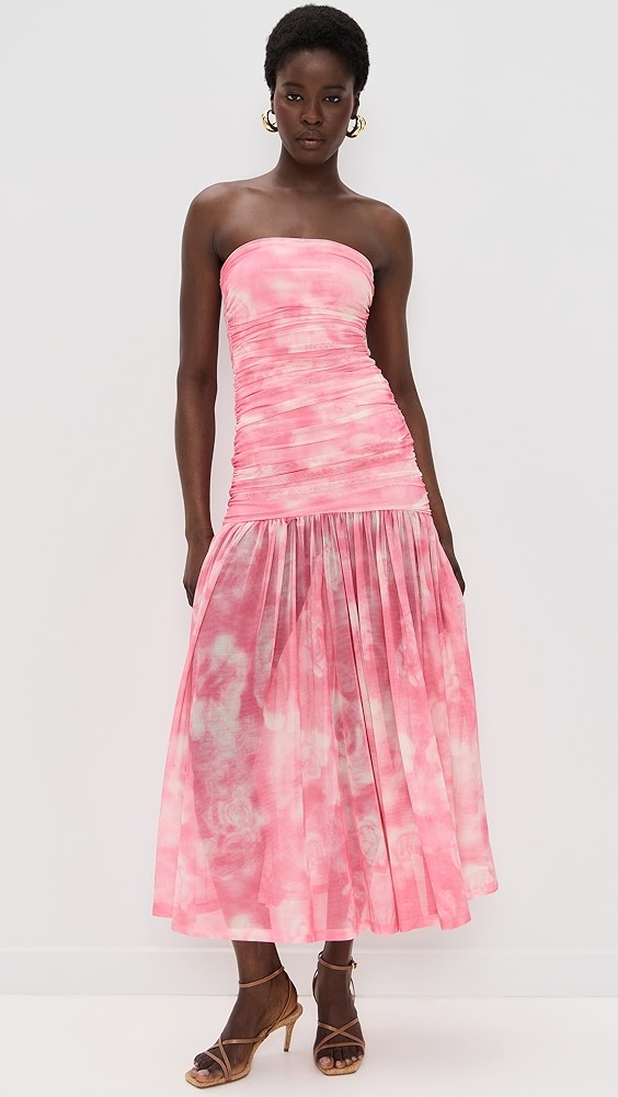 Bardot Solana Printed Mesh Dress