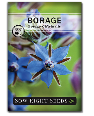 borage seed packet
