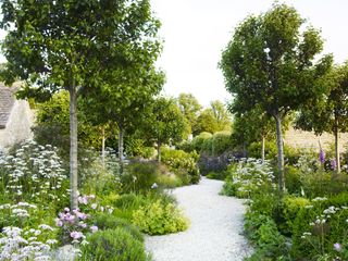 gravel path leading through flowerbeds