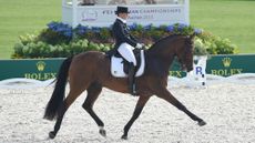 DonJohnsonFRH_AachenEuros15pn_32828.jpg