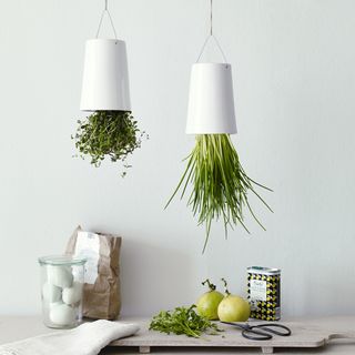 hanging white pots with topsy turvy herbs and glass jars