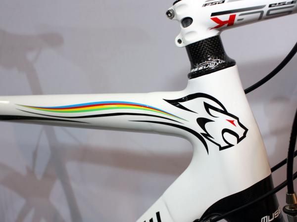 The lion of Flanders roars on the Museeuw MF-Lugano.
