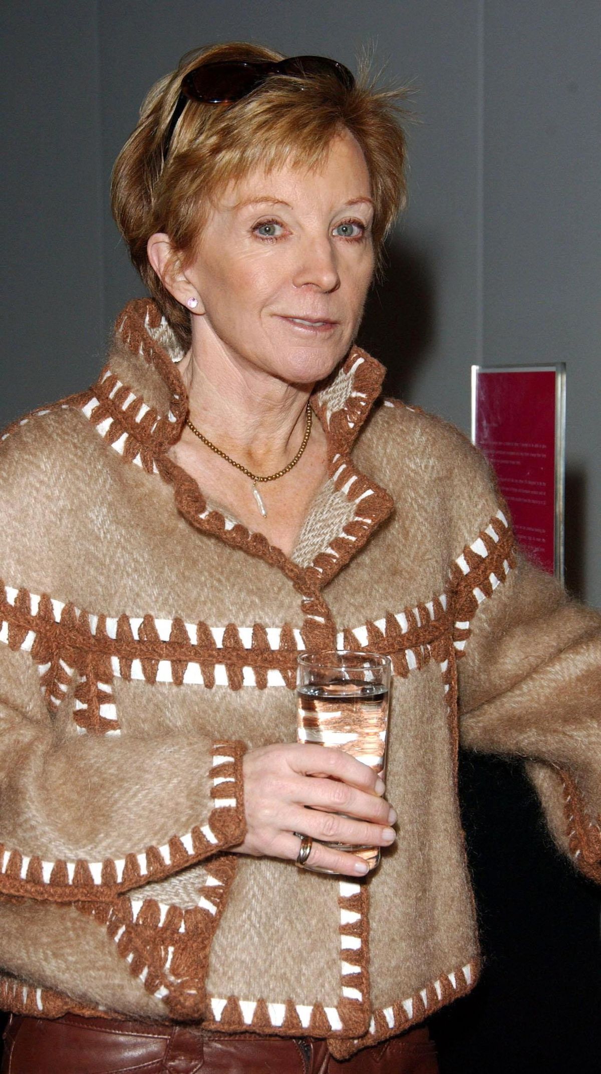 Anne Robinson gets six-month driving ban