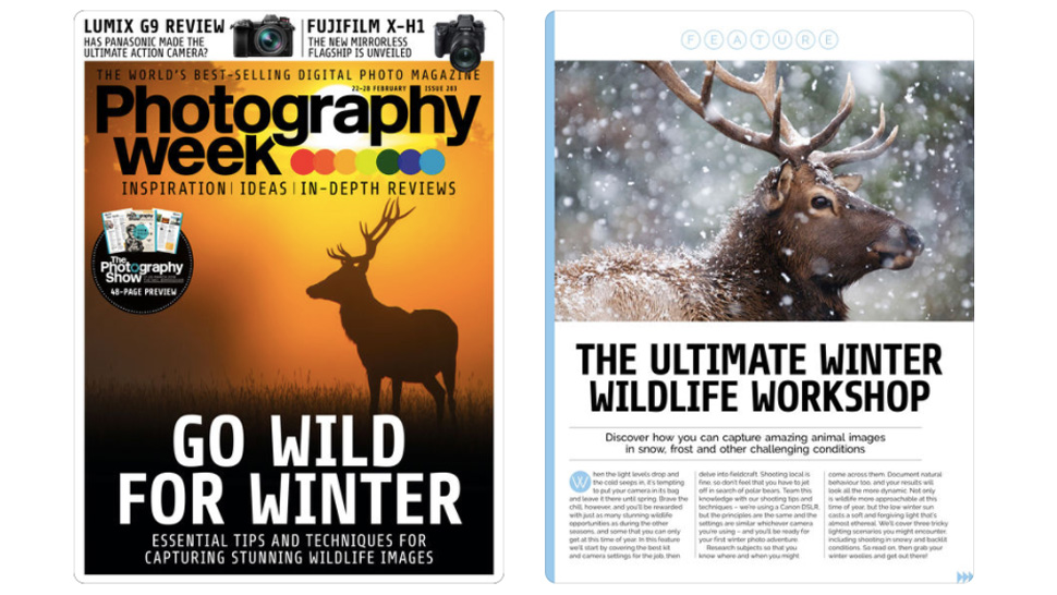 Photography Week front cover and article view