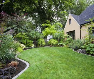 House and landscaped backyard with shaped lawn