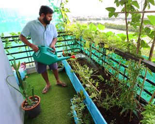 gardener watering raised vegetable beds on residential balcony