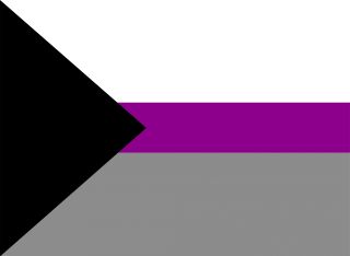 LGBTQ + Demisexual Flag for the rights of pride and sexuality