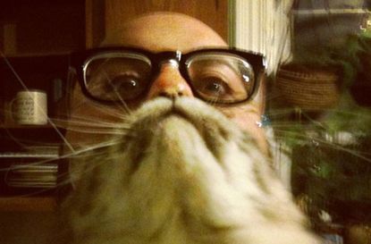 Cat beards