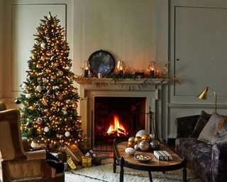 Living room with fire and Christmas tree