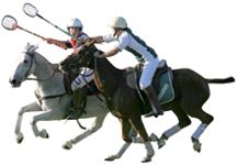 Polocrosse.jpg
