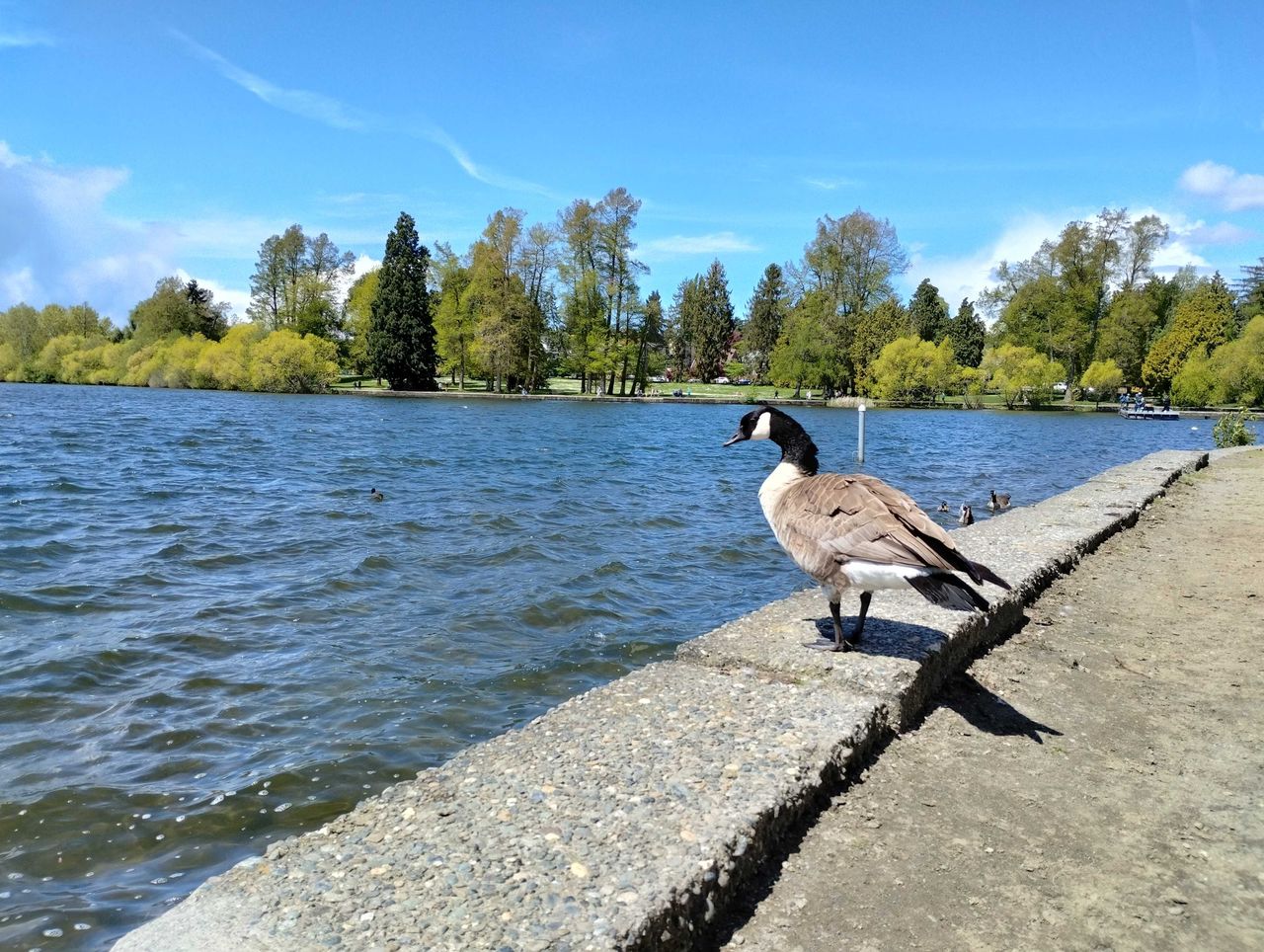 Moto G Stylus 5G (2022) camera sample