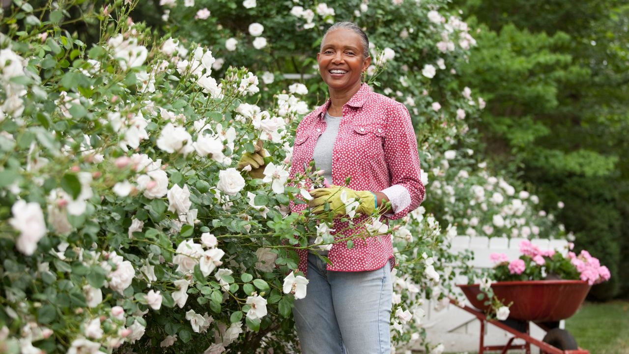 MoneyWireDaily — Tending to Your Estate Plan This Spring? Don't Forget to Give Your IRA Some Love