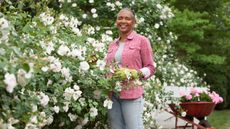 Woman caring for rose bushes in garden 