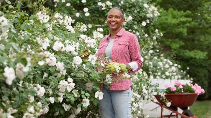 Woman caring for rose bushes in garden