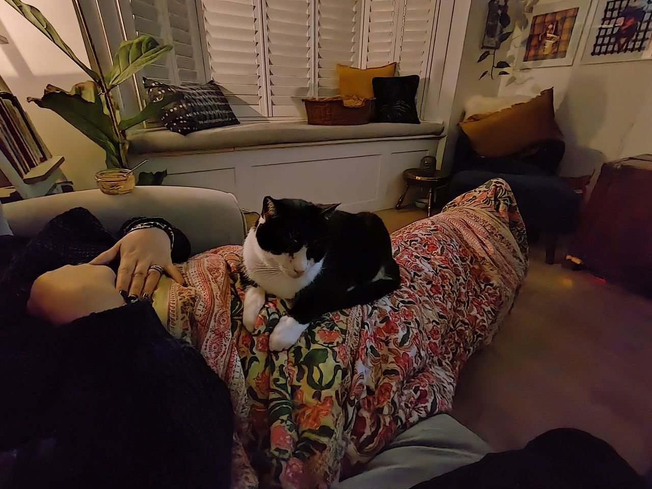 Motorola Razr 2022 camera sample