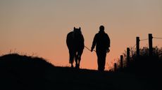 Horse insurance