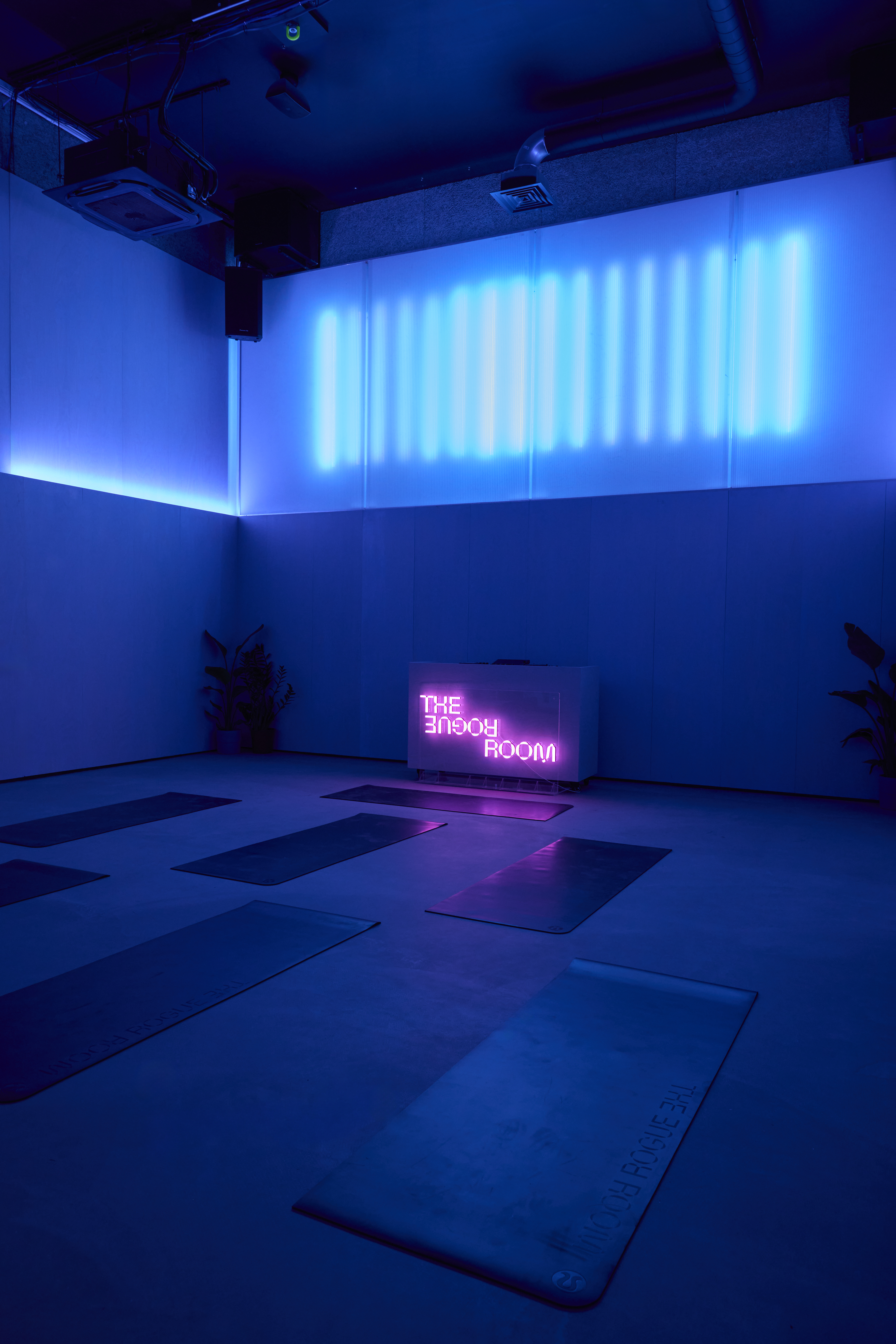 The Rogue Room, and its exterior known as &#039;the dirty house&#039;