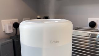 Govee Smart Humidifier